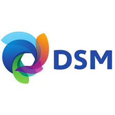 DSM Technologies